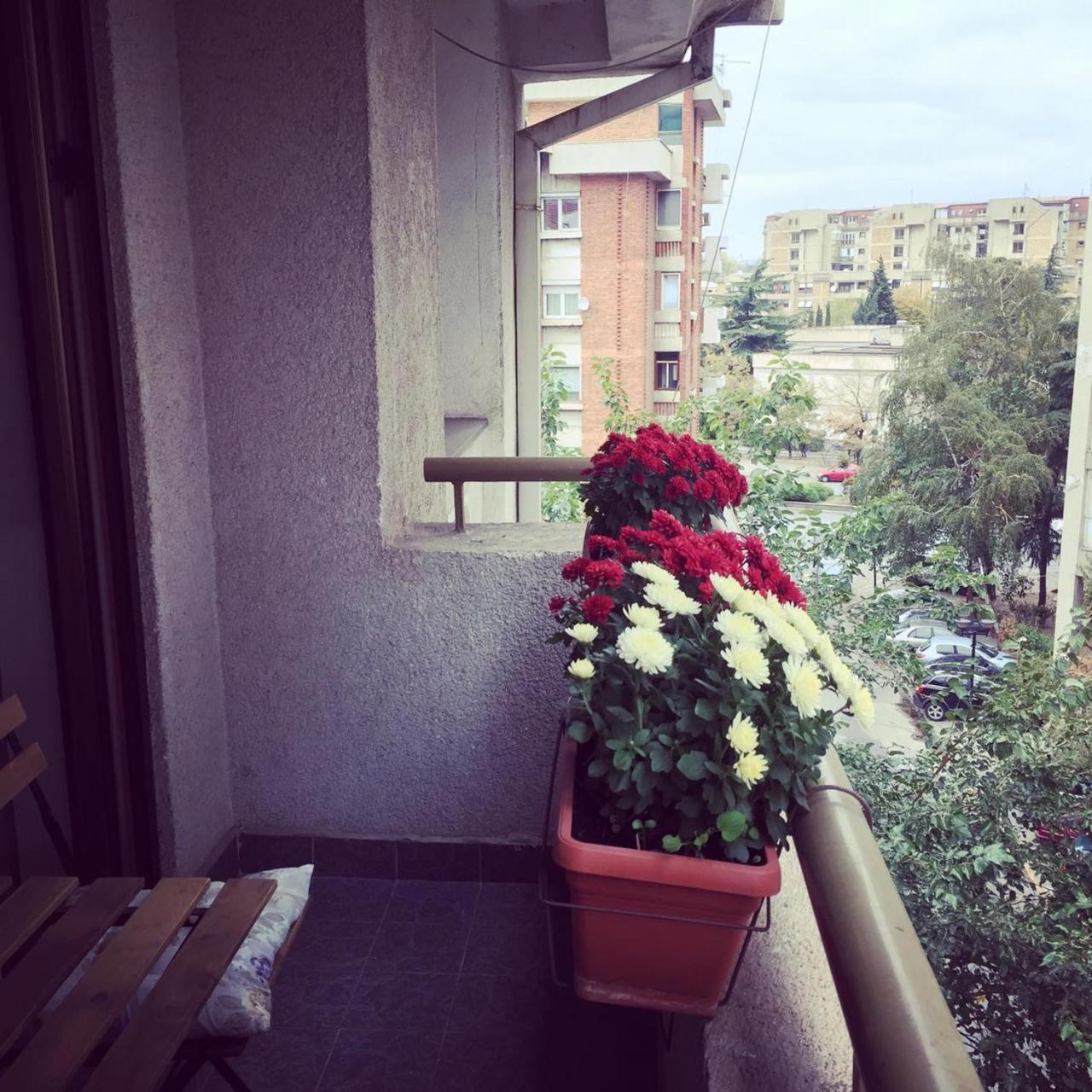 3 Bedroom Home With Parking Garage In The Heart Of スコピエ エクステリア 写真